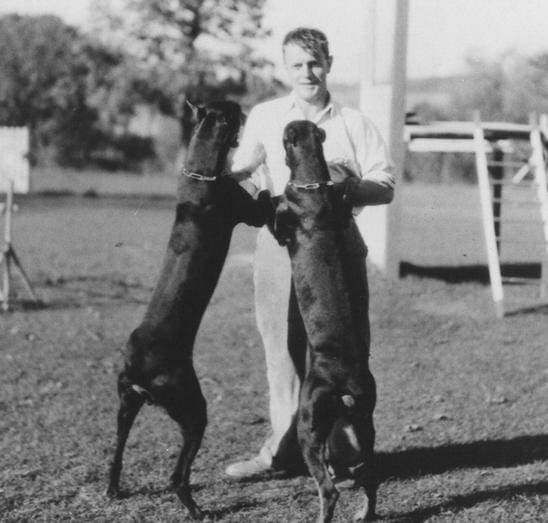 Bahnhof Dobermanns