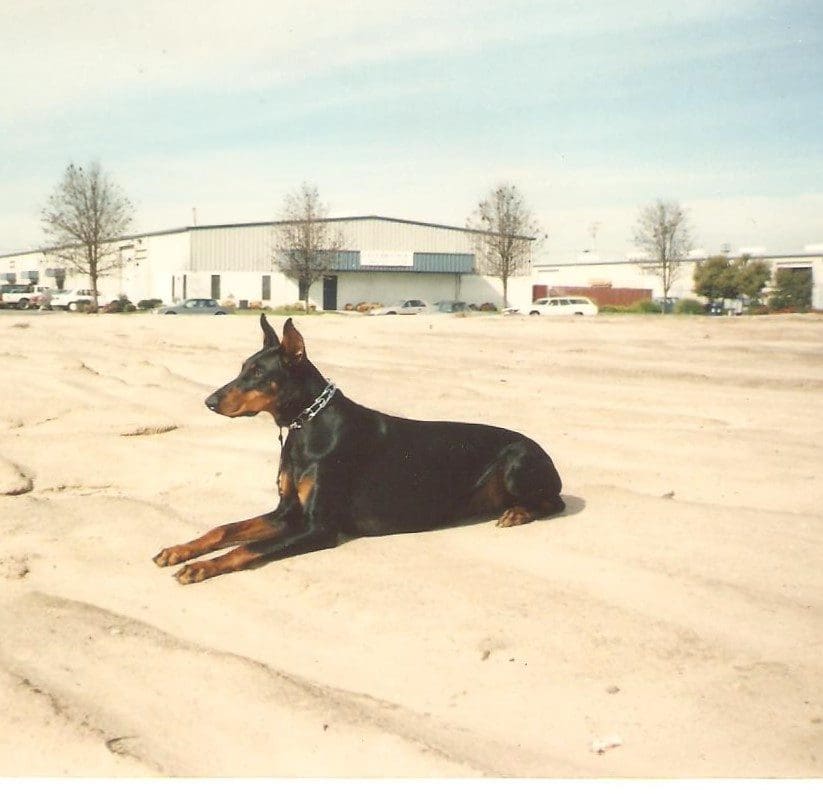 Ava after first track in Sand in Modesto CA