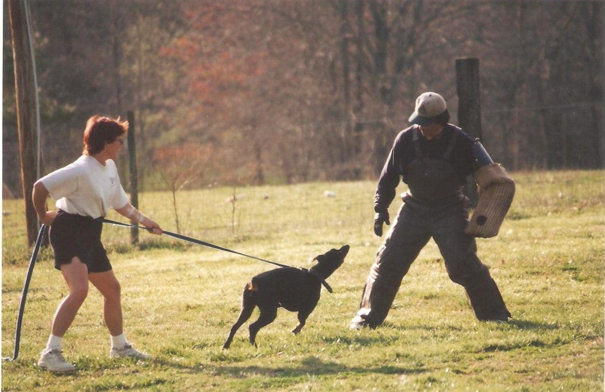 Danika barking at Dean